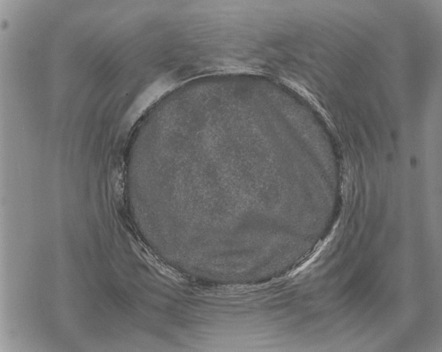 X0000071861163200607141808