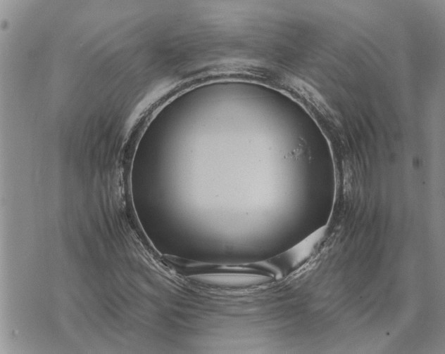 X0000071861164200607141808