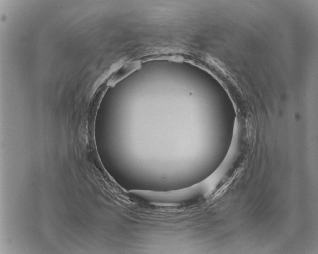 X0000071861165200607141808