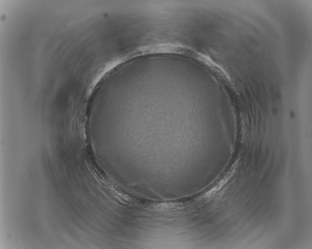 X0000071861166200607141808