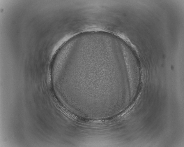 X0000071861167200607141808