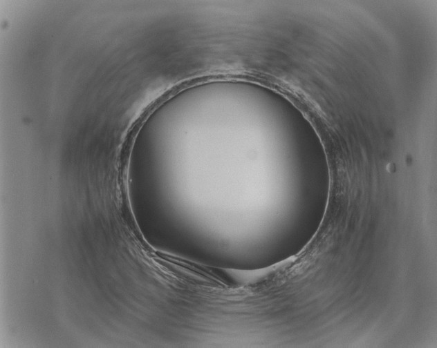 X0000071861168200607141808