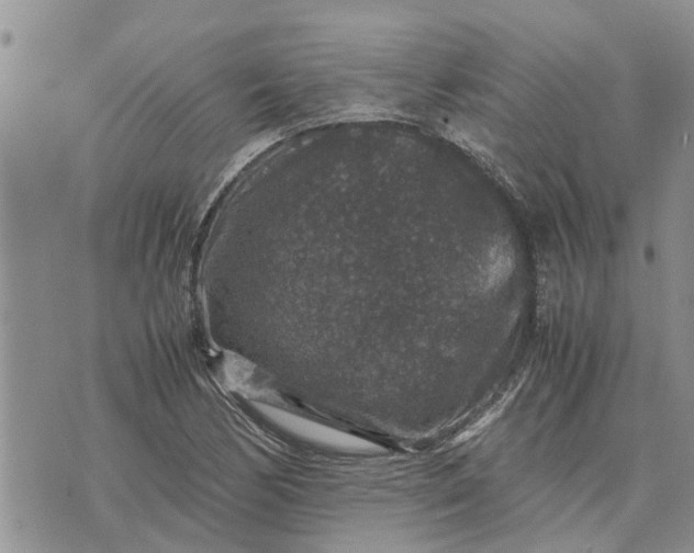 X0000071861170200607141808