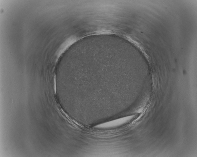 X0000071861171200607141808