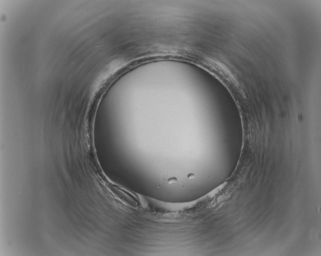 X0000071861172200607141808