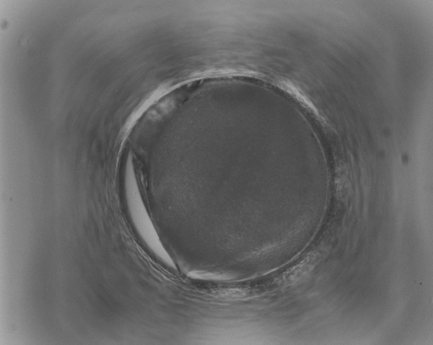 X0000071861173200607141808