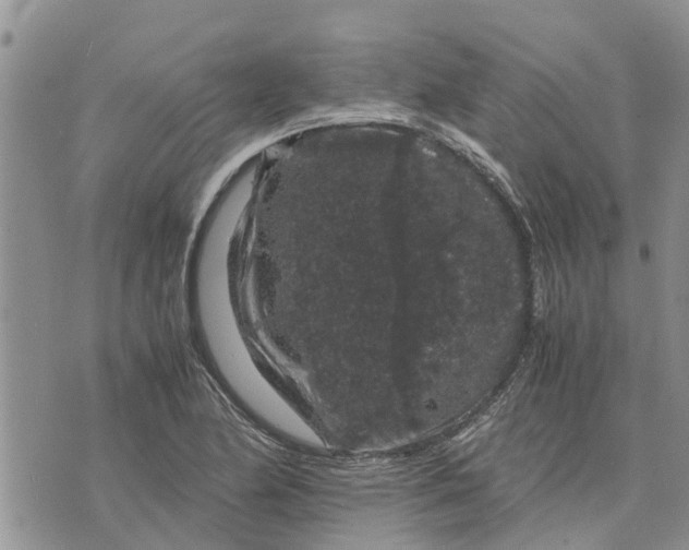 X0000071861174200607141808