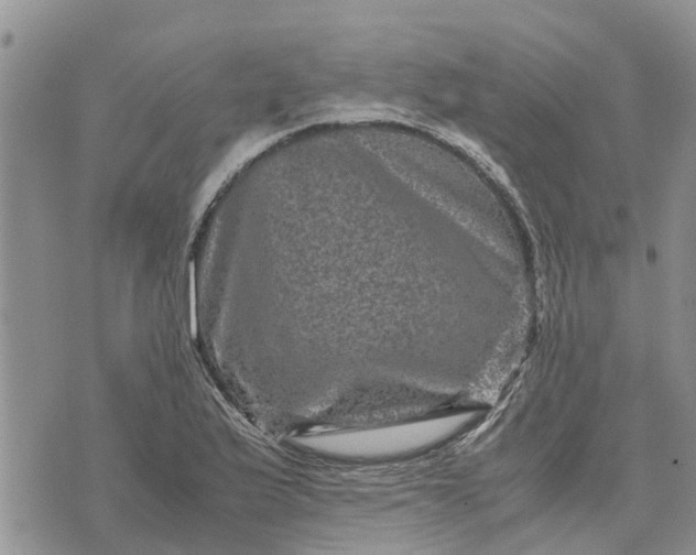 X0000071861175200607141808