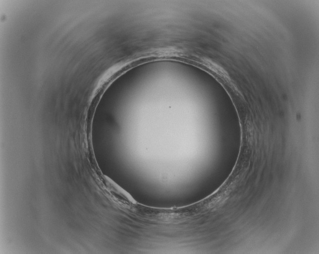 X0000071861176200607141808