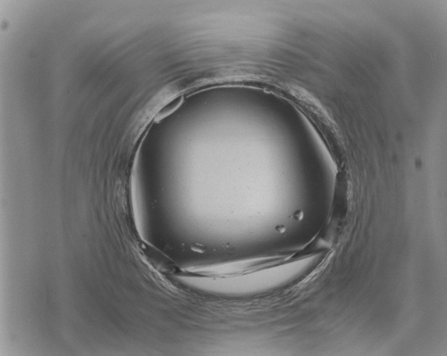 X0000071861177200607141808