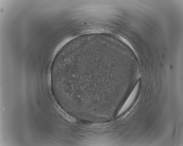 X0000071861179200607141807