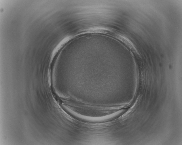 X0000071861180200607141807