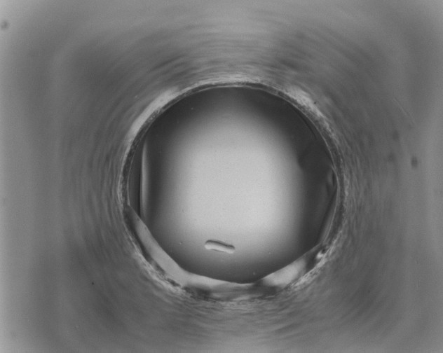 X0000071861181200607141807