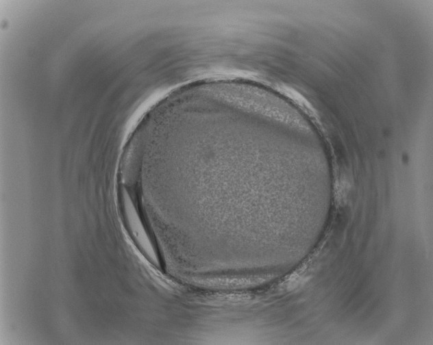 X0000071861183200607141807