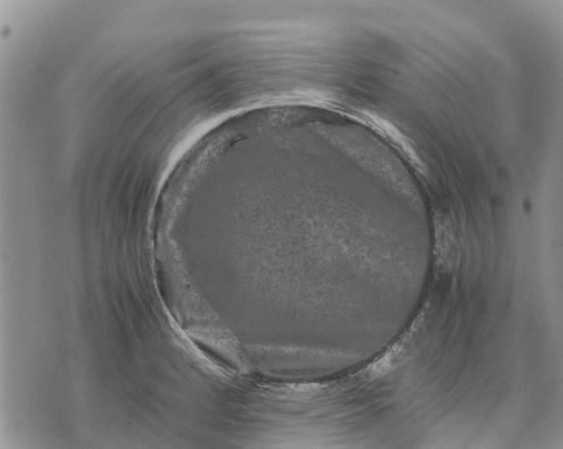 X0000071861184200607141807