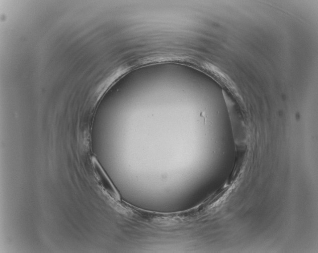 X0000071861185200607141807