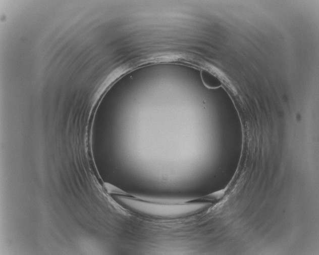 X0000071861186200607141807