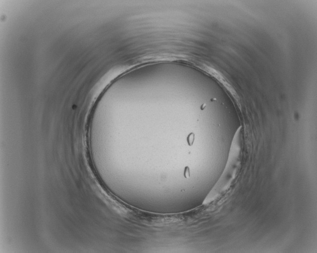 X0000071861187200607141807