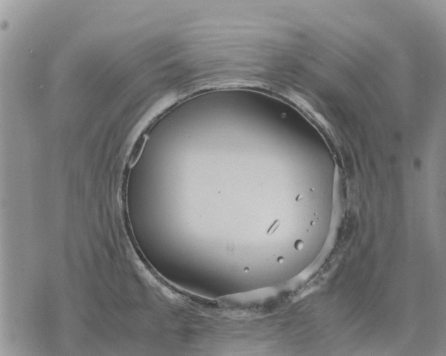 X0000071861189200607141807