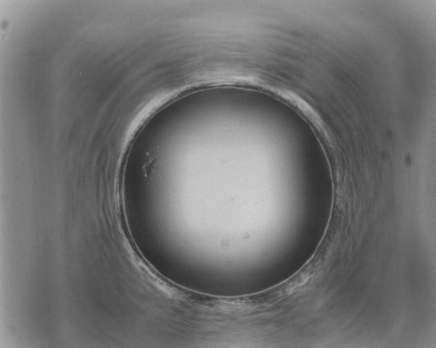 X0000071861191200607141807