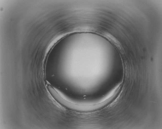 X0000071861192200607141807