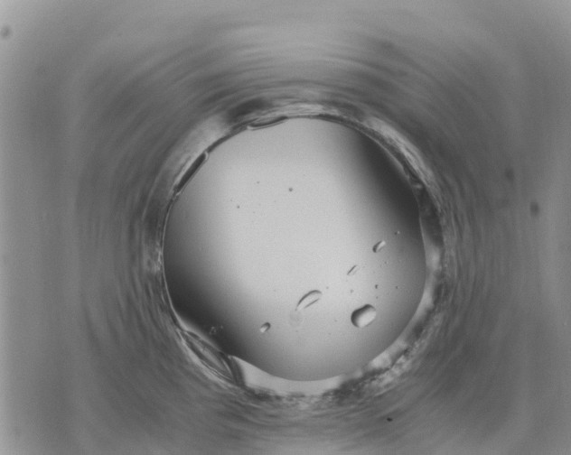 X0000071861193200607141807