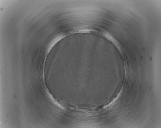 X0000071861194200607141807