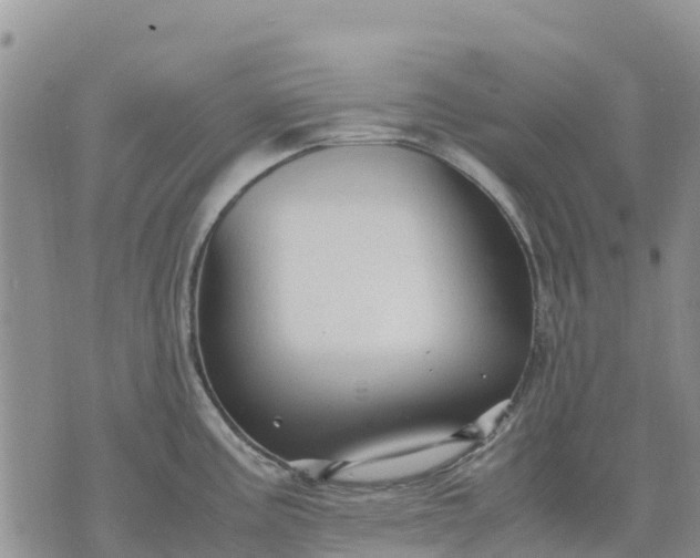 X0000071861195200607141807