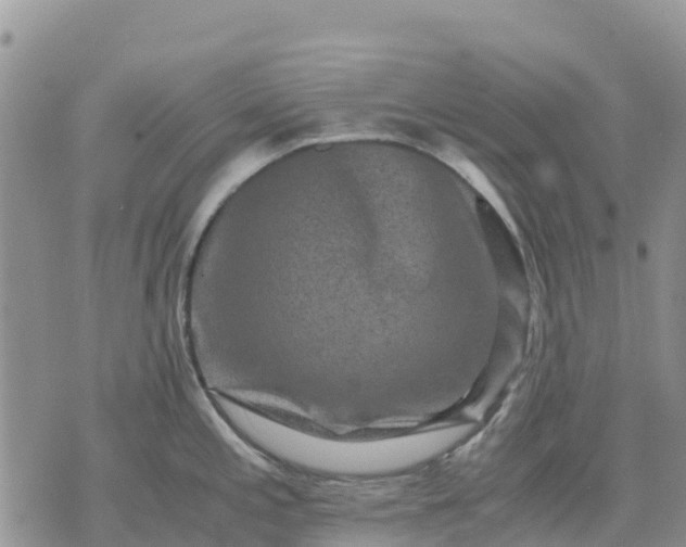 X0000071861197200607141807