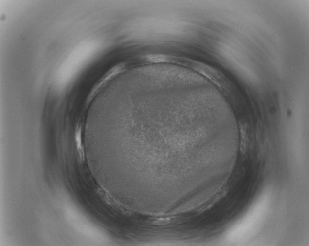 X0000071861198200607141807