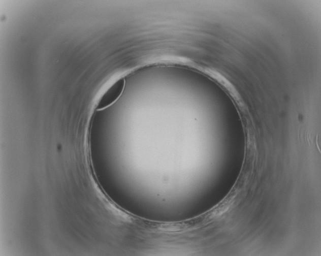 X0000071861199200607141807