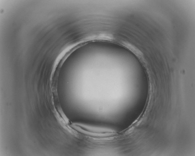 X0000071861200200607141807