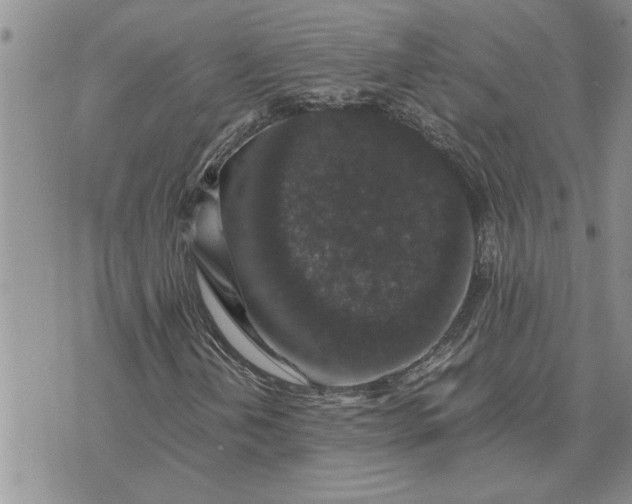 X0000071861202200607141806