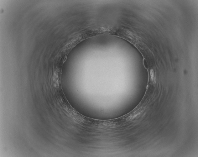 X0000071861203200607141806