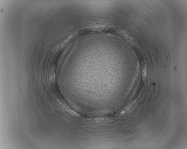 X0000071861204200607141806