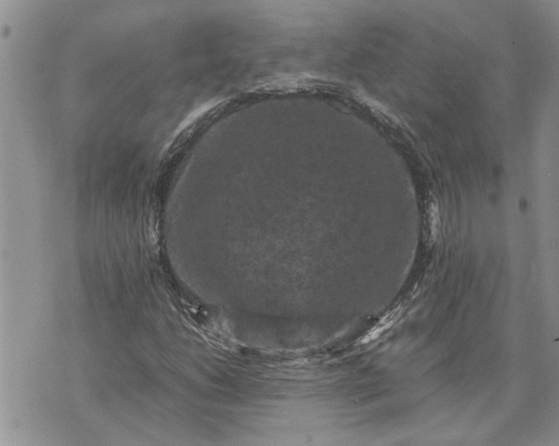 X0000071861206200607141806