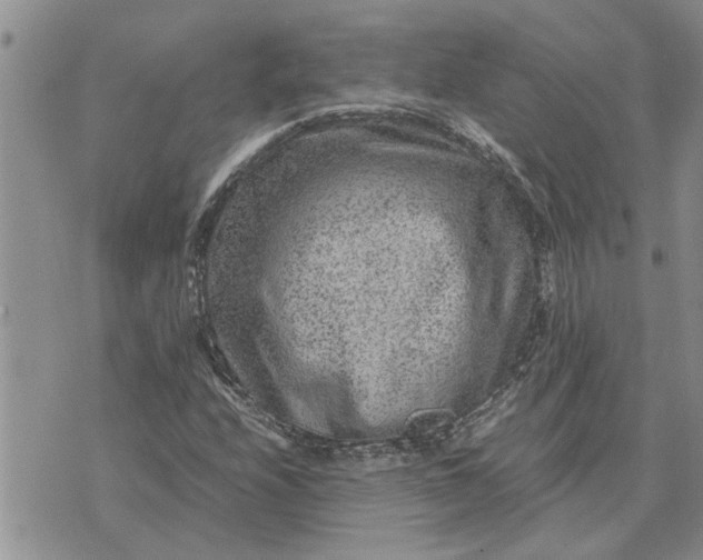 X0000071861208200607141806