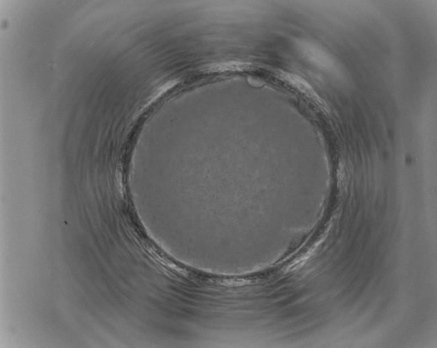 X0000071861209200607141806