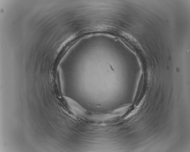 X0000071861210200607141807