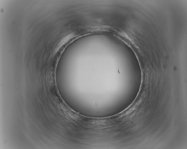 X0000071861211200607141807