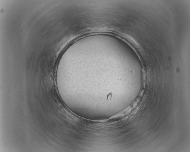 X0000071861212200607141807