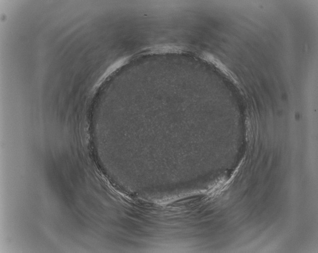 X0000071861213200607141807