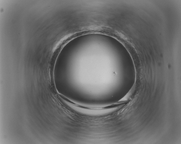 X0000071861214200607141807