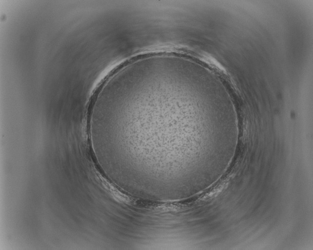 X0000071861216200607141807