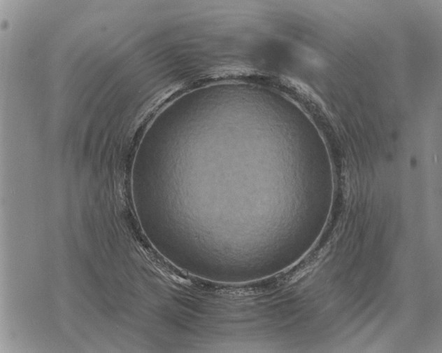 X0000071861217200607141807