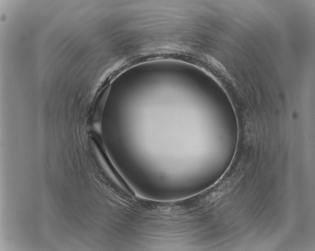 X0000071861218200607141807