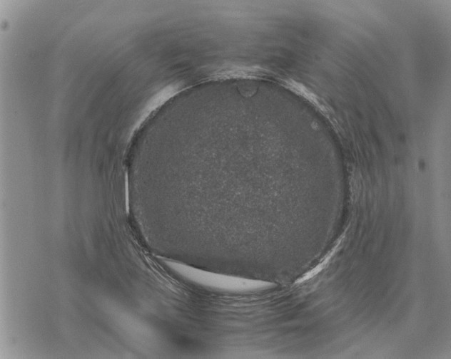 X0000071861219200607141807