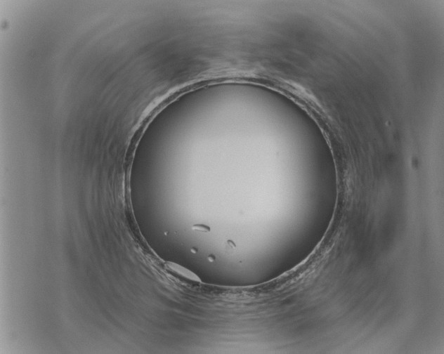 X0000071861220200607141807