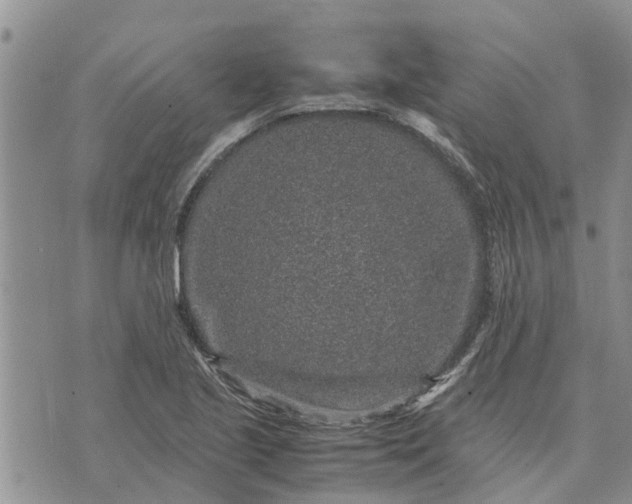 X0000071861221200607141807