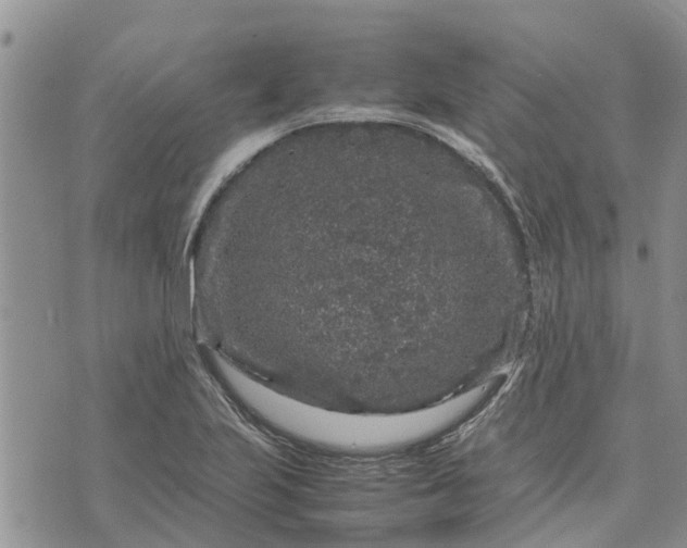 X0000071861223200607141807